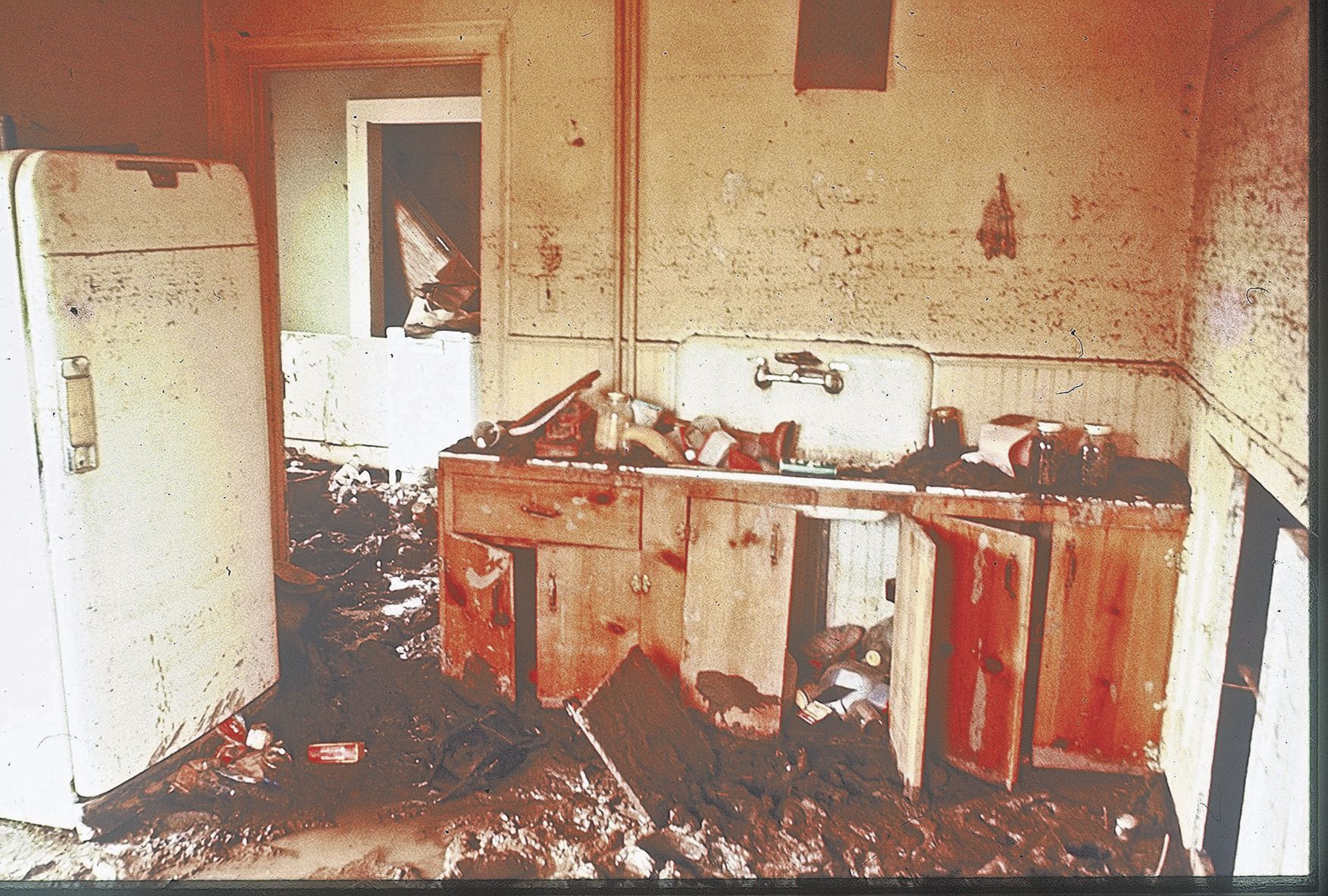 CAMILLE Massies Mill kitchen of house on car.jpg